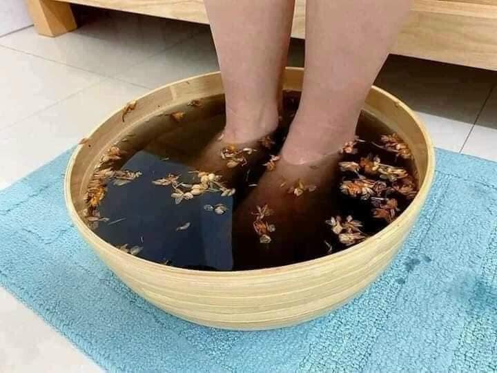 292276674_163690206180204_6346411972018229690_n