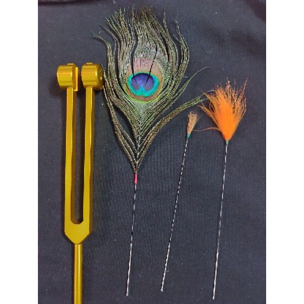 309490960_181610504388174_4018719789995981230_n