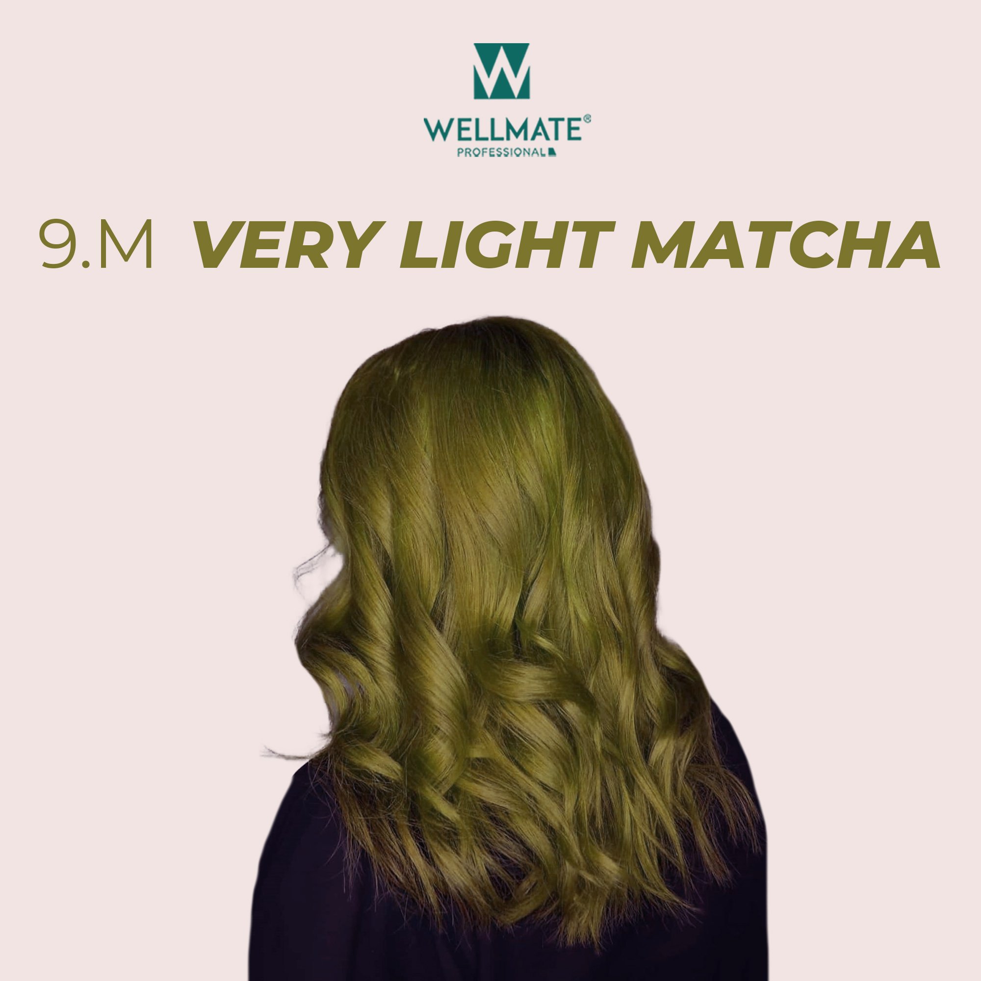 334577312_885680696024306_6538611850836087071_n