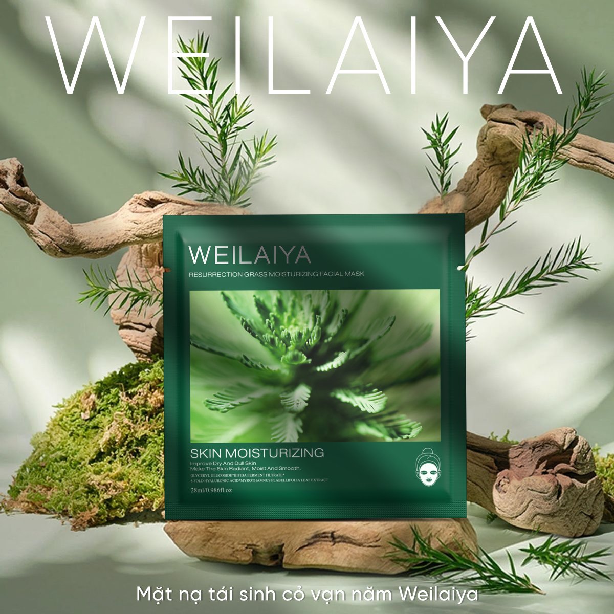 435524652_944508714352753_3967576036921153954_n