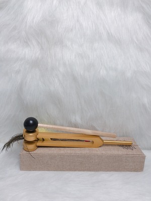 BỘ THANH RUNG DƯỠNG SINH_640bc93636bb3.jpeg