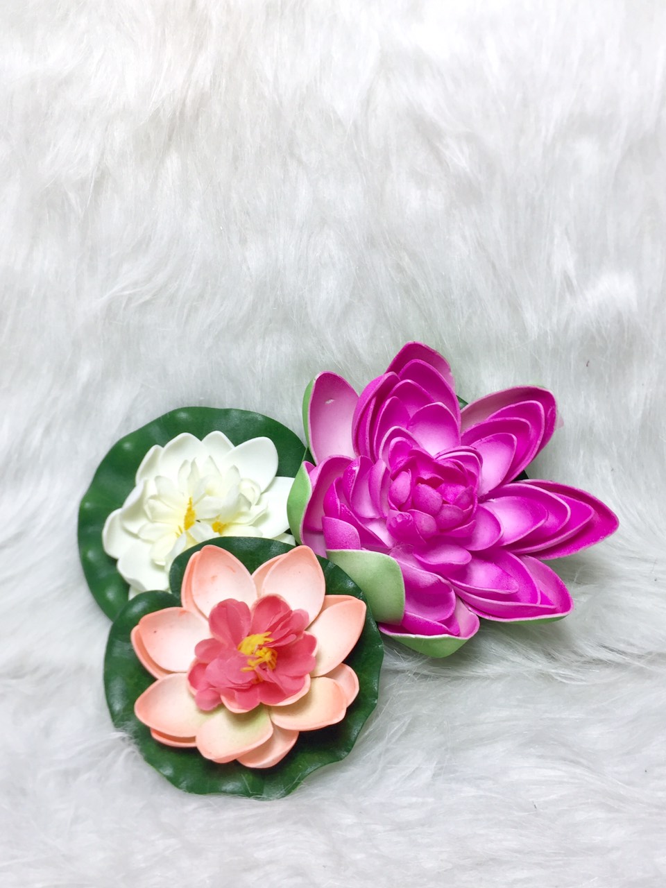 c9808fb8703bb765ee2a