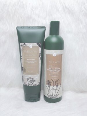 CẶP DẦU GỘI WEILAYA GINGER GỪNG CHO TÓC DẦU BẾT DÍNH_640bc6d399ca2.jpeg