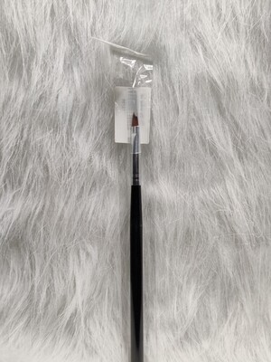 CỌ OMBER THƯA_640bcc39204a9.jpeg