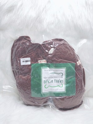 GIÀY CHƯỜM THẢO DƯỢC_640bc9799534c.jpeg