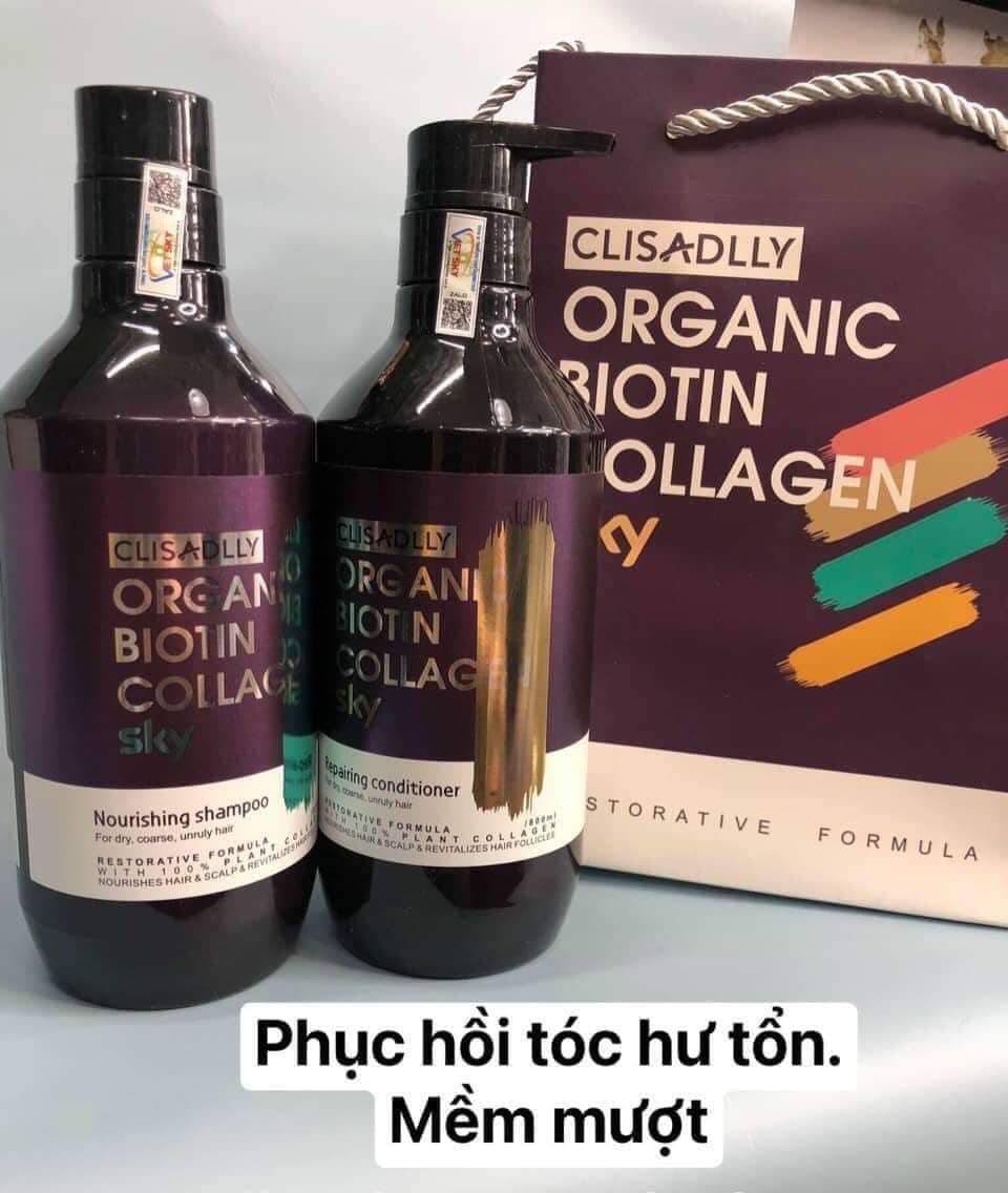 310329081_2356689811153506_6714043799018283381_n