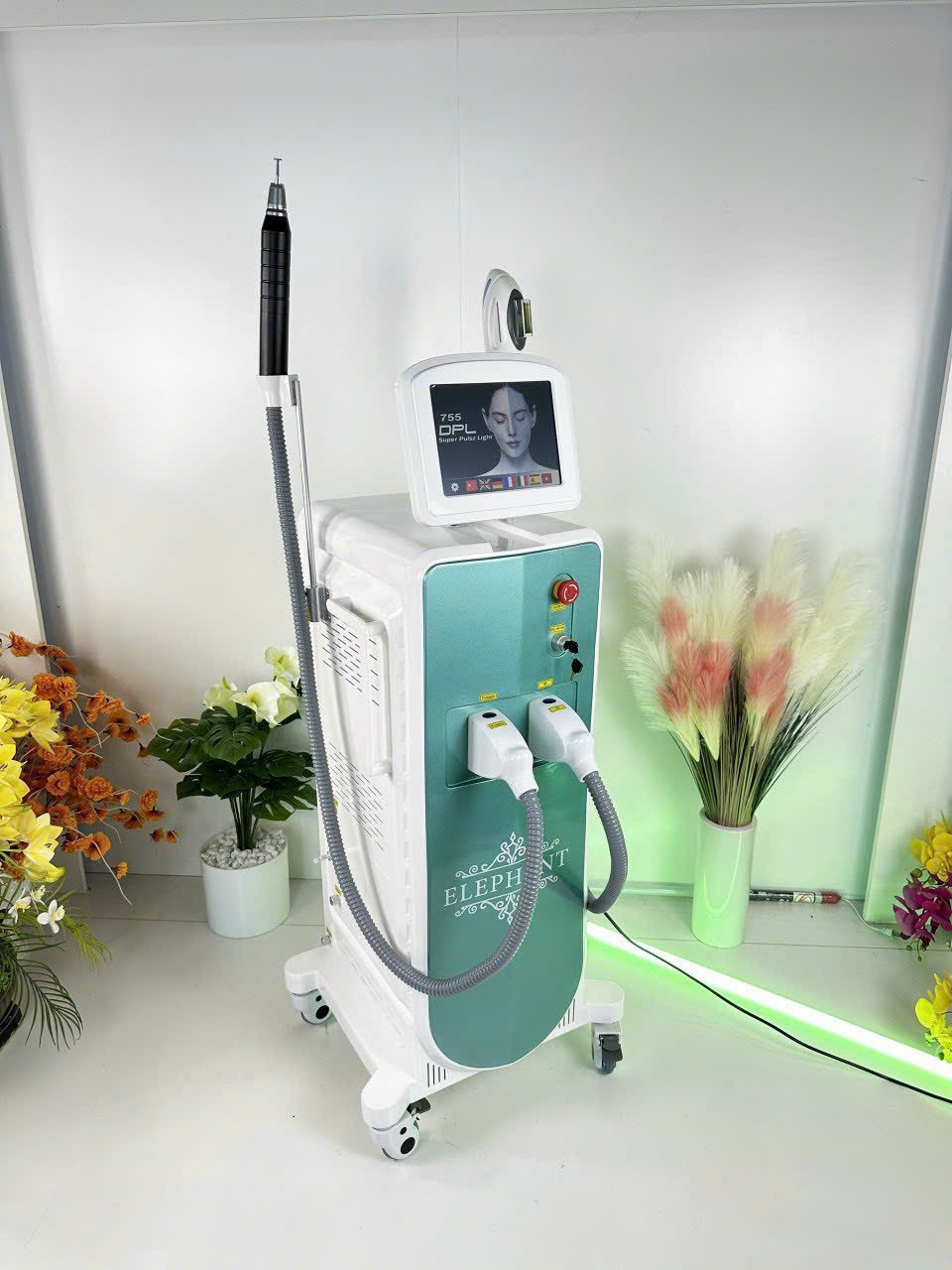 fcc304cc7301a05ff910