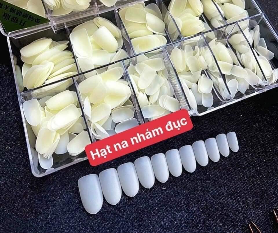 428697405_782031010649160_5649352723415965239_n