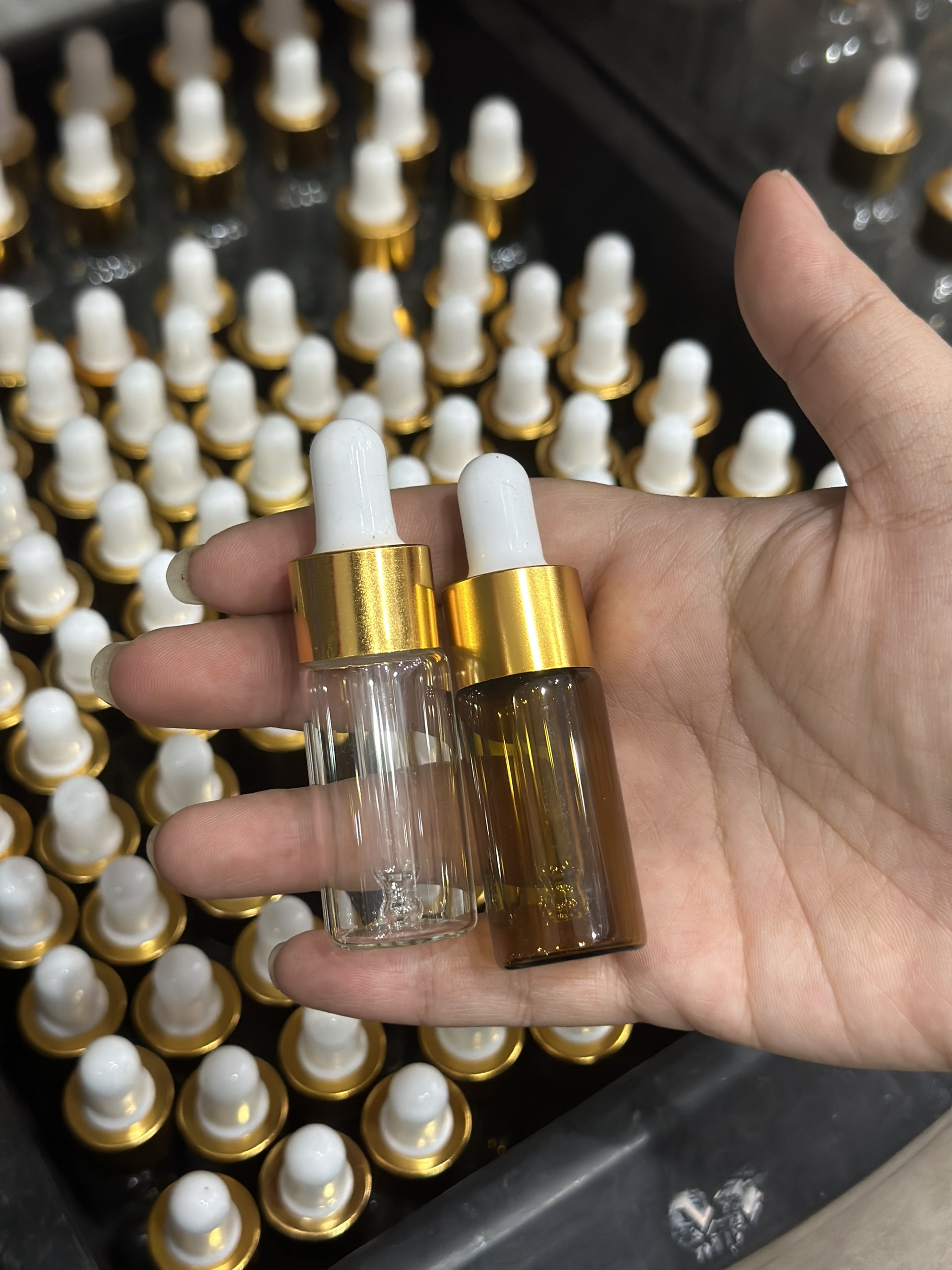 z5411506240145_46f84f690398e2a0ca81a2541b6f3825