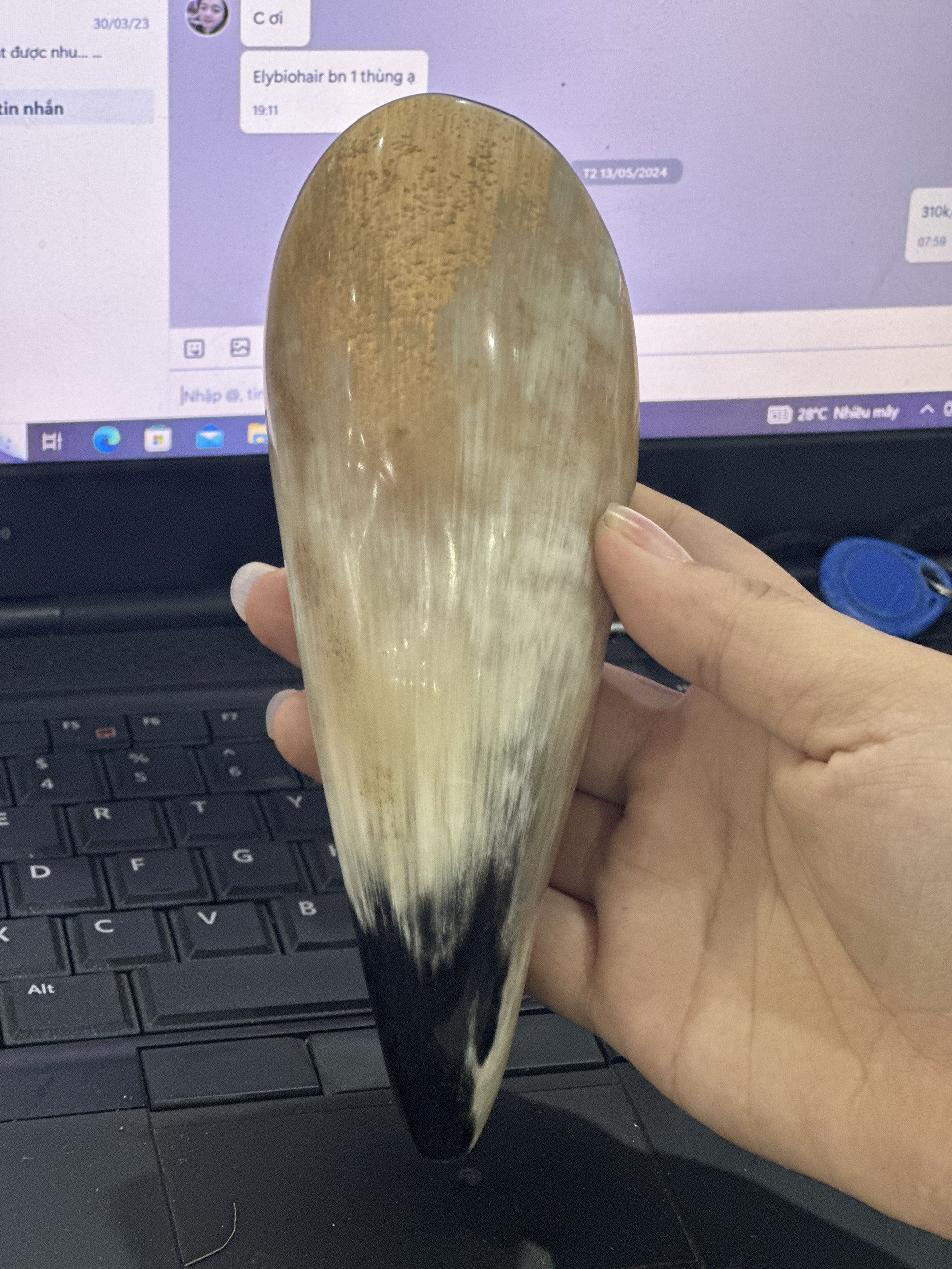 z5453184214413_6eed5eac980673d644e9cf1d6934ed41