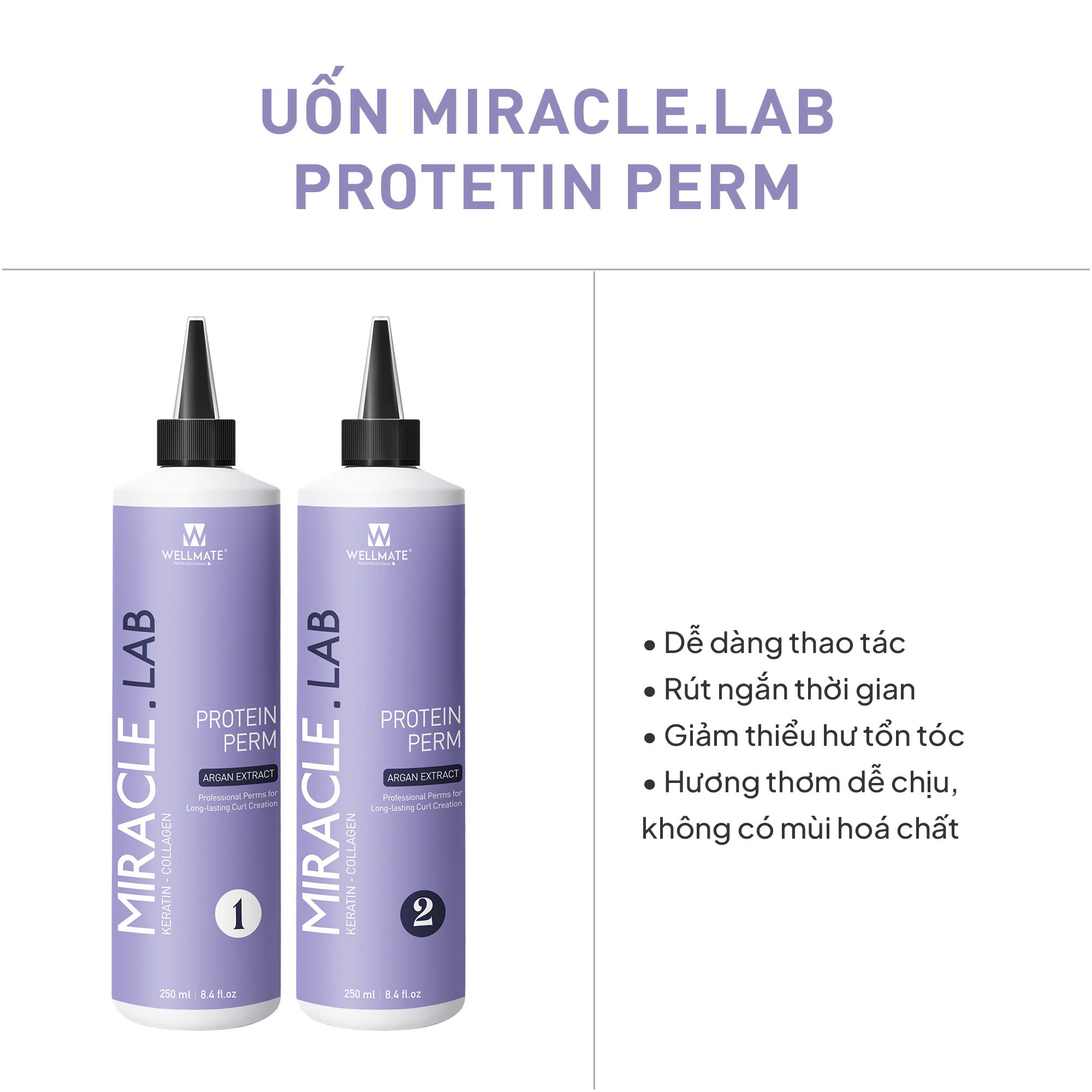 473634349_1196234102511985_7773365548841186743_n