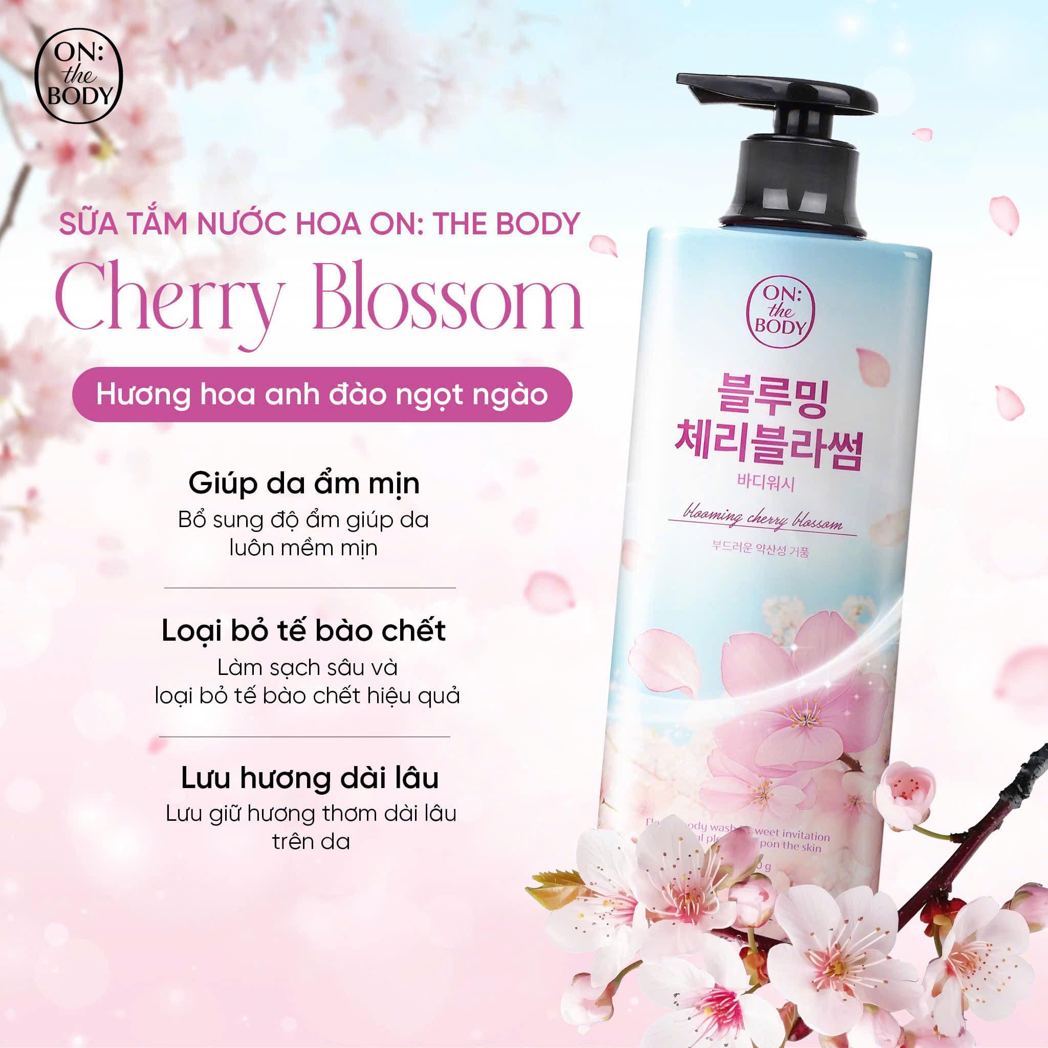 476631145_949089003958955_4522464776699119985_n